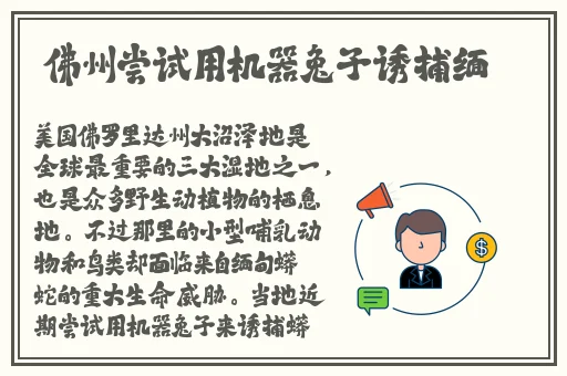 伽罗太华流白色遗留物